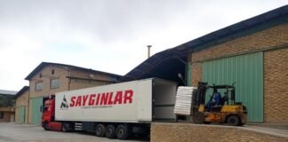 Belarus Taşımacılık Hizmetleri & Saygınlar Nakliyat