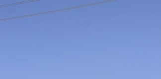 Volvo Trucks, 2024’te Avrupa Ağır Ticari Pazarının Zirvesinde!