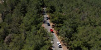 Hyundai, IONIQ Ormanı Projesi ile 1 Milyon Ağaç Dikti